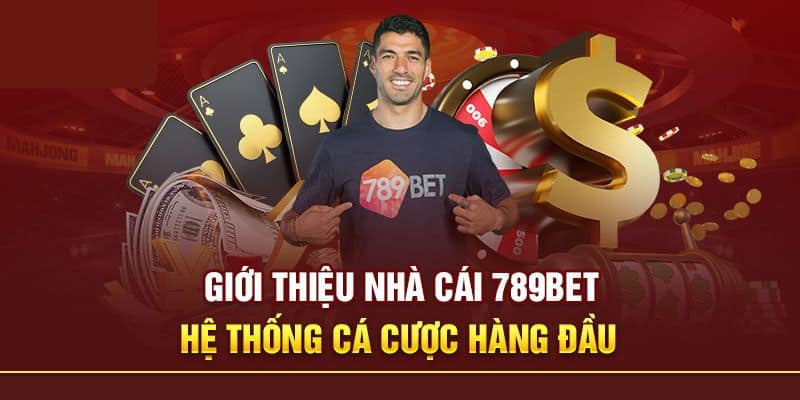 Giới thiệu 789BET - Thiên đường cá cược