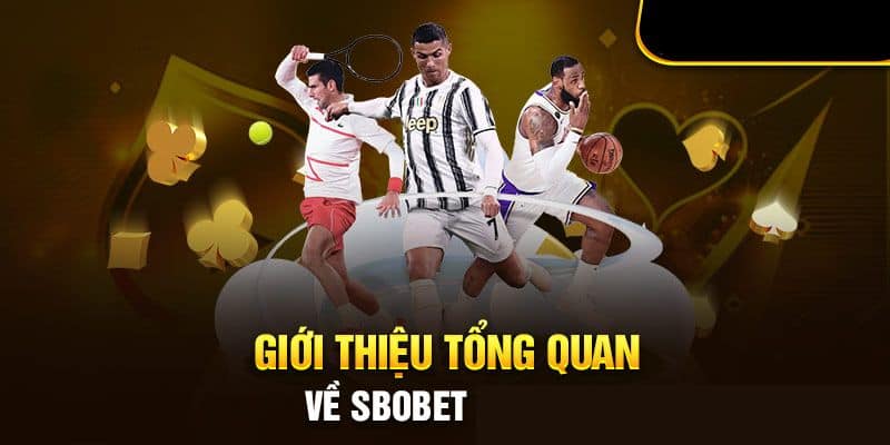 Tổng quan về nhà cái Sbobet