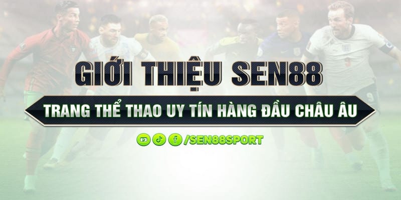 Tổng quan về nhà cái trực tuyến quốc tế Sen88 